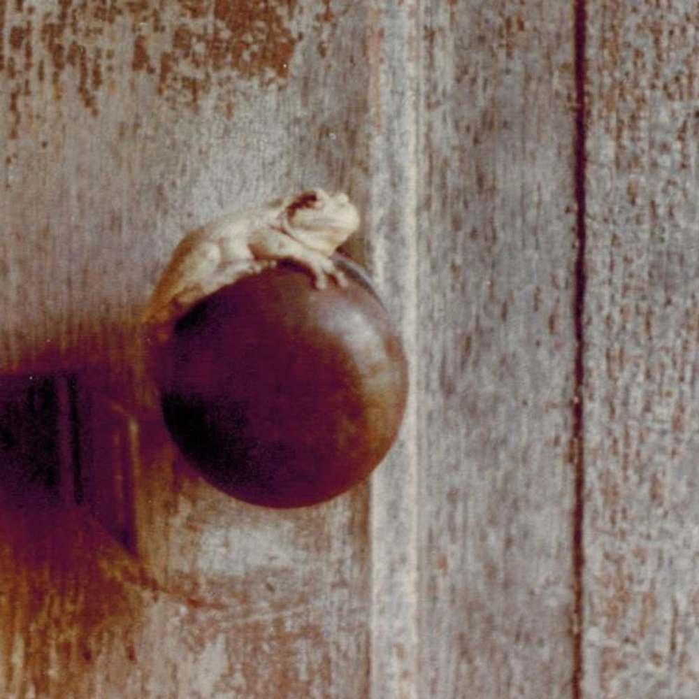 Meet your Posher, Jean